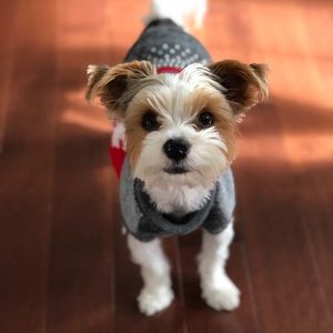 Meet your Posher, Sheena